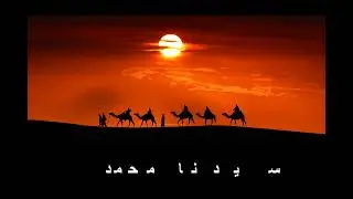 DEFLİ & ZİKİRLİ İLAHİLER | SEVİYORUZ CANLAR BİZ MUHAMMEDİ & DÜN GECE KABEYE VARDIM