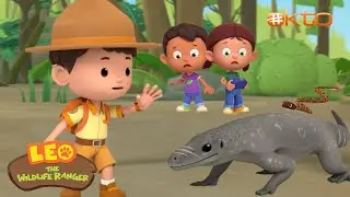 #oktopresents | Leo Flies A Car Plane To Save A Water Monitor Lizard |@mediacorp okto