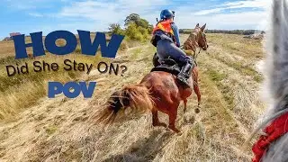 Всадники на конных пробегах &laquo;взламывают&raquo; лошадей в сезон охоты 🏇🏼 ~ МЫ СУМАСШЕДШИЕ?!