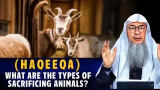 Ruling Of Haqeeqa | What Are The Types Of Sacrificing Animals? | Assim Al Hakeem | Sheikh Asim