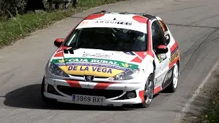 Guillermo de la Vega - Christian Moran | Villa de Llanes Rally 2025 | Peugeot 206