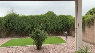 Обзор дома от Arizona Traditions для покупателей | Охраняемый жилой комплекс для людей старше 55 ...
