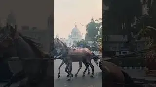 #horses #ride #streets #of #kolkata #youtubeshorts #vlog #travel #explore #content