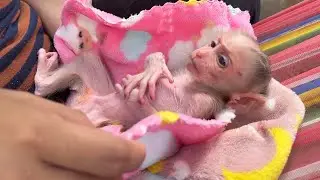 Mom Spent Whole Evening Comfort The Poor Lil Fatique Newbrn