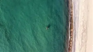 3 Day Primitive Beach Camping and Canoeing with Dog