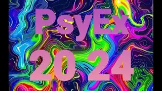 Psychedelic Experience Festival #chillout #psychedelicexperience  #festival  #psytrance
