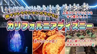 【雨で快適】逆にガラガラ✨人気アトラクション乗り放題のカリフォルニアディズニー‼️
