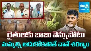 Special Ground Report on AP Farmers Problems | Tobacco Farmers | Banana Farmers | Paddy  @SakshiTV