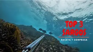 Pesca Submarina: Top 3 Sargos + RECETA + SORPRESA