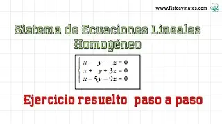 Sistema Ecuaciones Lineales Homogéneo | Ejercicio resuelto