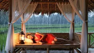 Ultimate Calm Rain Ambience in Rice Fields &ndash; Relaxing Rural Nature Sounds