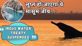 Indus Water Treaty - If India stops water then Bhulan will disappear || Indus River Dolphin