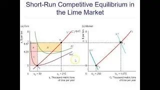 Short run competitive equilibrium
