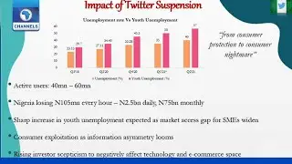 Economy: How Twitter Suspension Has Led To Astronomical Negative Impact - Analyst