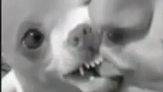 Top Facebook memes compilation 2020