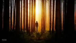 Gabriel Fran&ccedil;a C.S - The Shelter Of A Fox | Beautiful Dreamy Uplifting Music