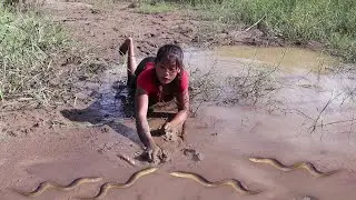 Survival skills: Catch and cook many eel - Eel soup spicy delicious for dinner