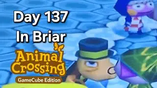 Animal Crossing GameCube &ndash; Day 137: Button Mashing Panic, a Funny Snowman, and Tortimer&rsquo;s Vacation