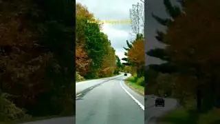 Road trip Niagara-NYC#roadtrip #fallcolors#ilayarajasongs#usa#fluetshorts #travelphotography#travel