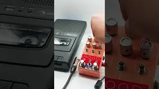 Shorts #14 | LoFi Tape Loop on Cassette and Chase Bliss Mood