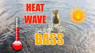 Bass Fishing during an Extreme Heat Wave