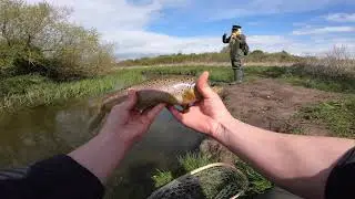 CRAZY Trout fishing session! How many can you catch in 1 day?!?