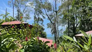 Journey to Self at Samasati