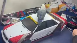 タミヤTT02（アウディ）ステッカー貼り. The final touch 
