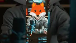 Fox Coin 🪙🪙🪙🪙🪙🪙🪙