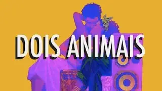 Nação Zumbi - Dois Animais na Selva Suja da Rua - Video Lyrics - Radiola NZ Vol1