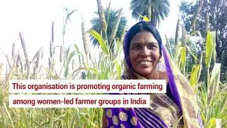 SEED Award Winners 2019