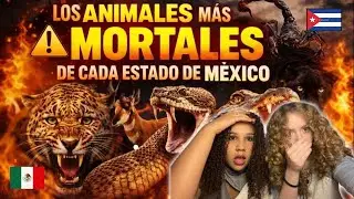 😱 Las NIÑAS reaccionan a los ANIMALES MÁS LETALES de cada estado de MÉXICO