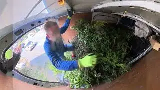 sped up rubbish removal of conifer trees