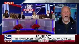 &lsquo;FIX OUR SYSTEM&rsquo;  GOP lawmaker calls for end to birthright citizenship