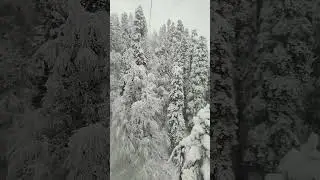 ДОМБАЙ СЕГОДНЯ #домбай #канатка #лес #снег #кавказ #snow #video #сказка #shorts #2026 #vlog #кчр
