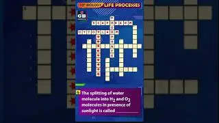 Puzzle-2 #LifeProcesses CBSE 10th Science Biology Term-1 |NCERT class 10 Most imp questions #Shorts
