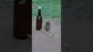 Auto Effective Unique Quail Trap With Bottle and Wood #shorts #youtubeshorts #birdtrap