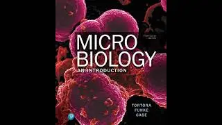 Antimicrobial Drugs | Chapter 20 - Microbiology: An Introduction