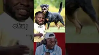 RDC Leland Story Time 😂 #rdcworld1 #funny #comedy
