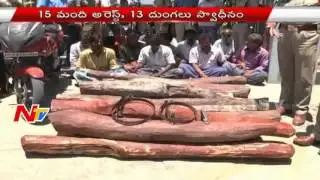 Red Sandelwood Smugglers Gang Busted By Police In Tirupati | NTV