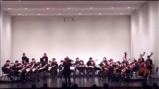 Disney Fantasy 디즈니환타지 / Seongnam Mandolin Orchestra 성남만돌린오케스트라