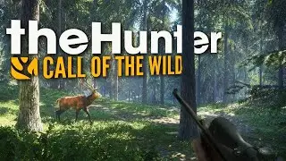 Epic Hunts in The Hunter: Call of the Wild! 🦌🌲
