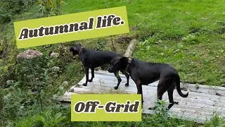 Почему мне подходит Off-Grid!