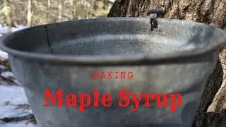 Making maple syrup