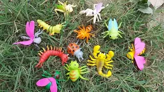 Amazing..... catching insects toy for kids