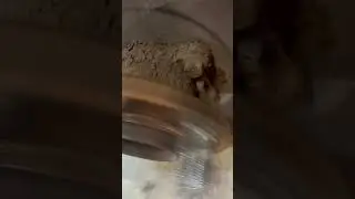 Is This Wheel Bearing Noise? Its Got No Play! #kia #forte #wheelbearing