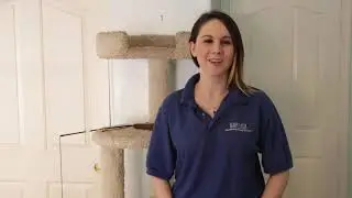 PRC Video Series: How to Help a Fearful Cat