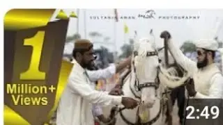Sahibzada Sultan Muhammad Ali ?M H S Sultania Awan Horse Neza baaz  Club