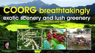COORG - Breathtakingly Exotic Scenery and Lush Greenery - The misty hills, lush sandalwood forests.