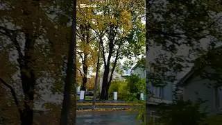 When Tallinn Turns Golden 🍂✨l Rain, Reflections & Autumn Magic